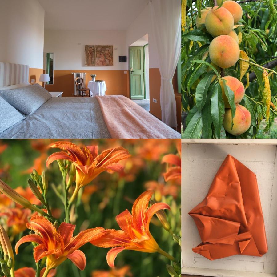Palazzago Agriturismo Il Belvedere מראה חיצוני תמונה