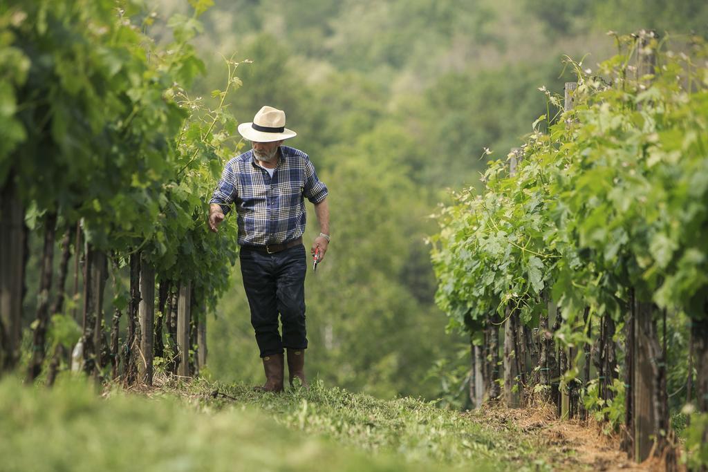 Palazzago Agriturismo Il Belvedere מראה חיצוני תמונה